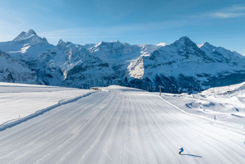 GRINDELWALD